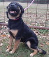 Sita