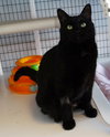 Stowaway - Photo 3