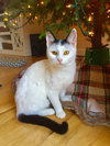 Birdie 2 - Photo 2