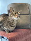 Petey 2 - Photo 3