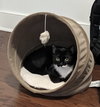 Oreo - Photo 4