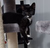 Barnabas - Photo 2