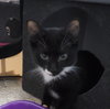 Barnabas - Photo 5