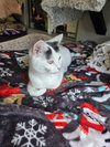 Peach - Photo 3