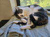 Yoshi - Photo 3