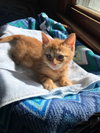 Butters - Photo 3