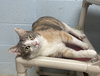 Cecelia - Photo 4