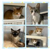Tootie (Catechism) - Photo 2