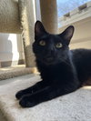 Slinky2 - Photo 1