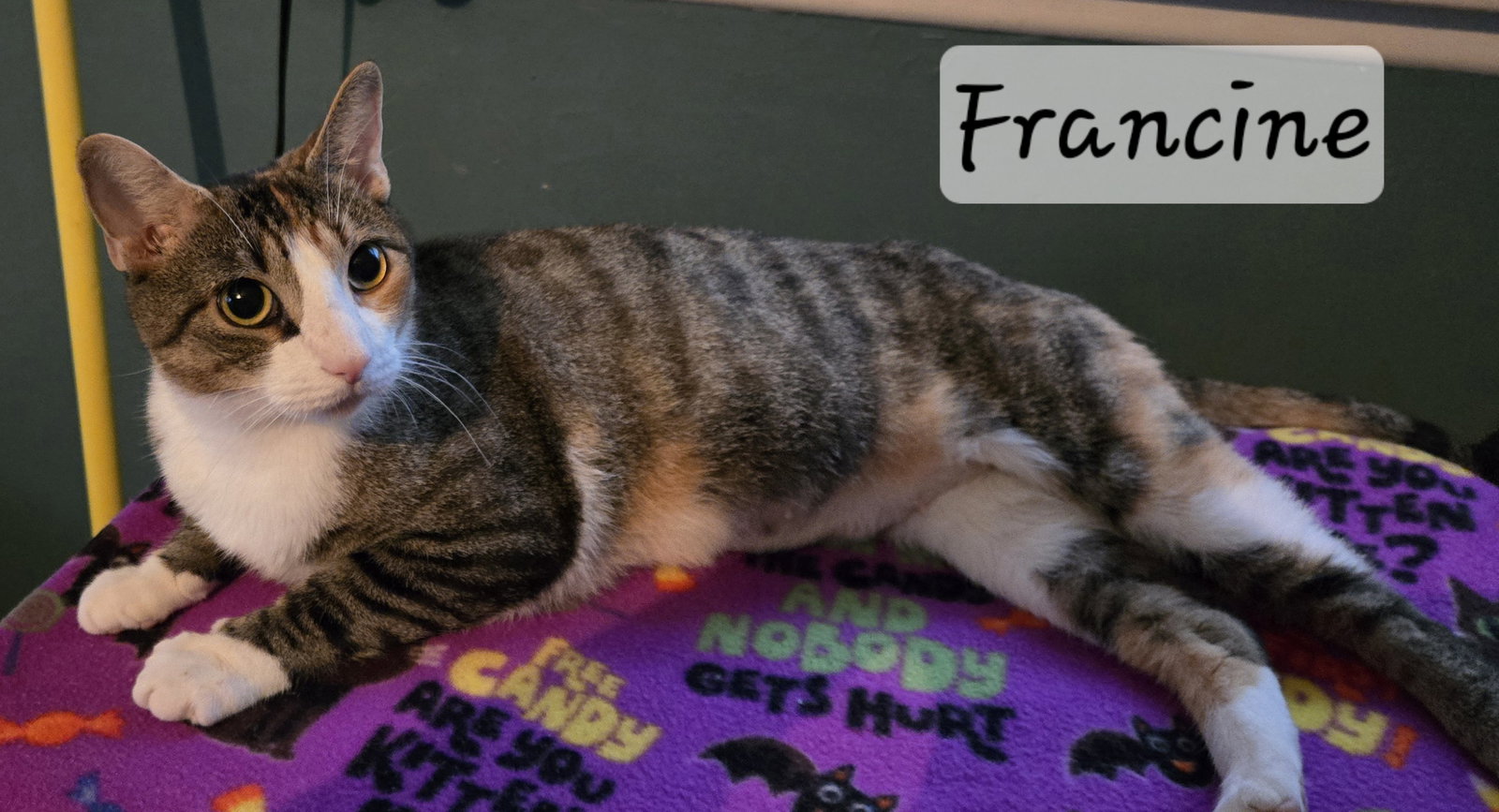 Francine Image