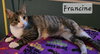 Francine - Photo 1