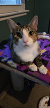 Francine - Photo 2
