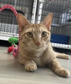 Peaches - Photo 2
