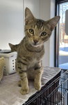 Monty - Photo 2