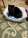 Noel3 - Photo 3