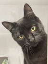 Spanky - Photo 2