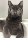 Spanky - Photo 3