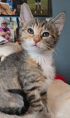 NessaRose - Photo 1