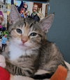 NessaRose - Photo 2