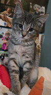 Fiyero - Photo 2