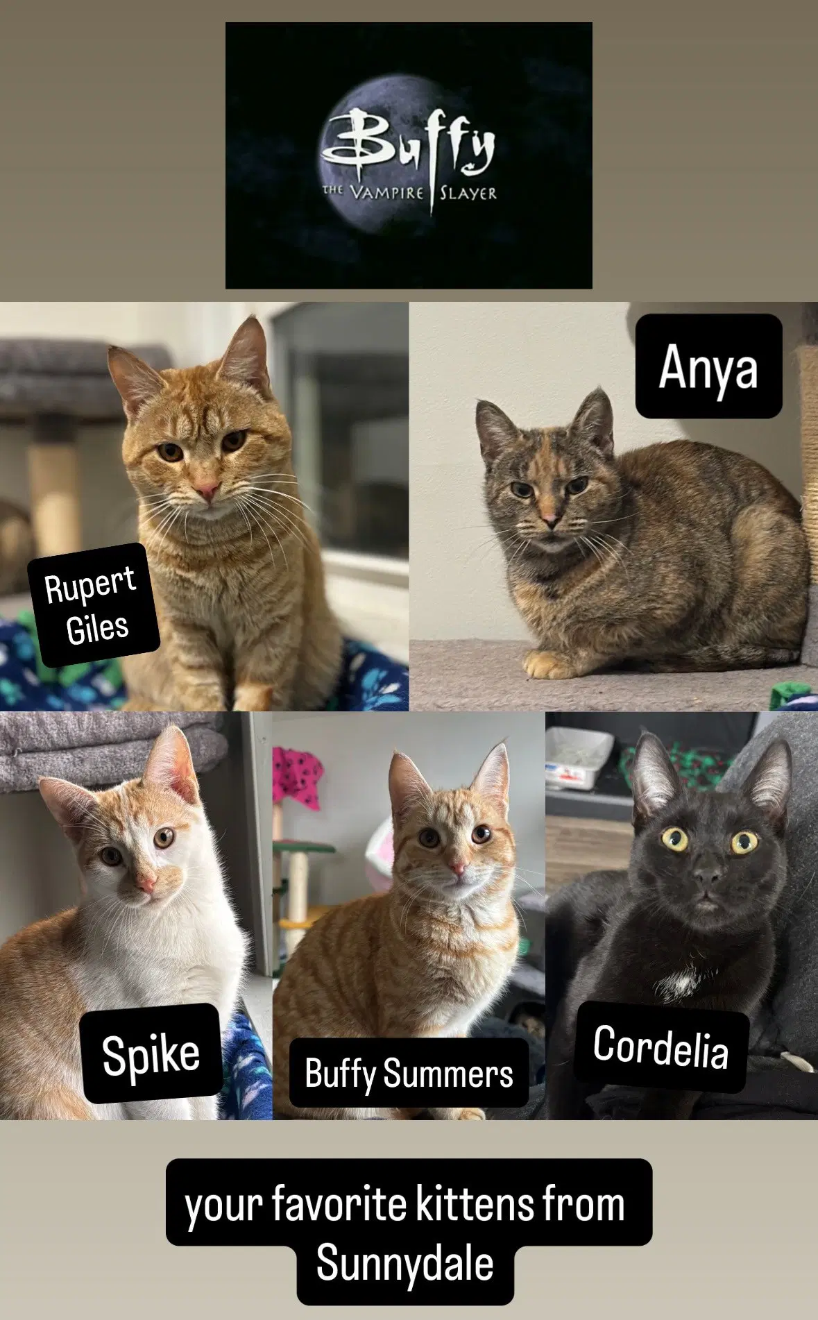 Anya image 2