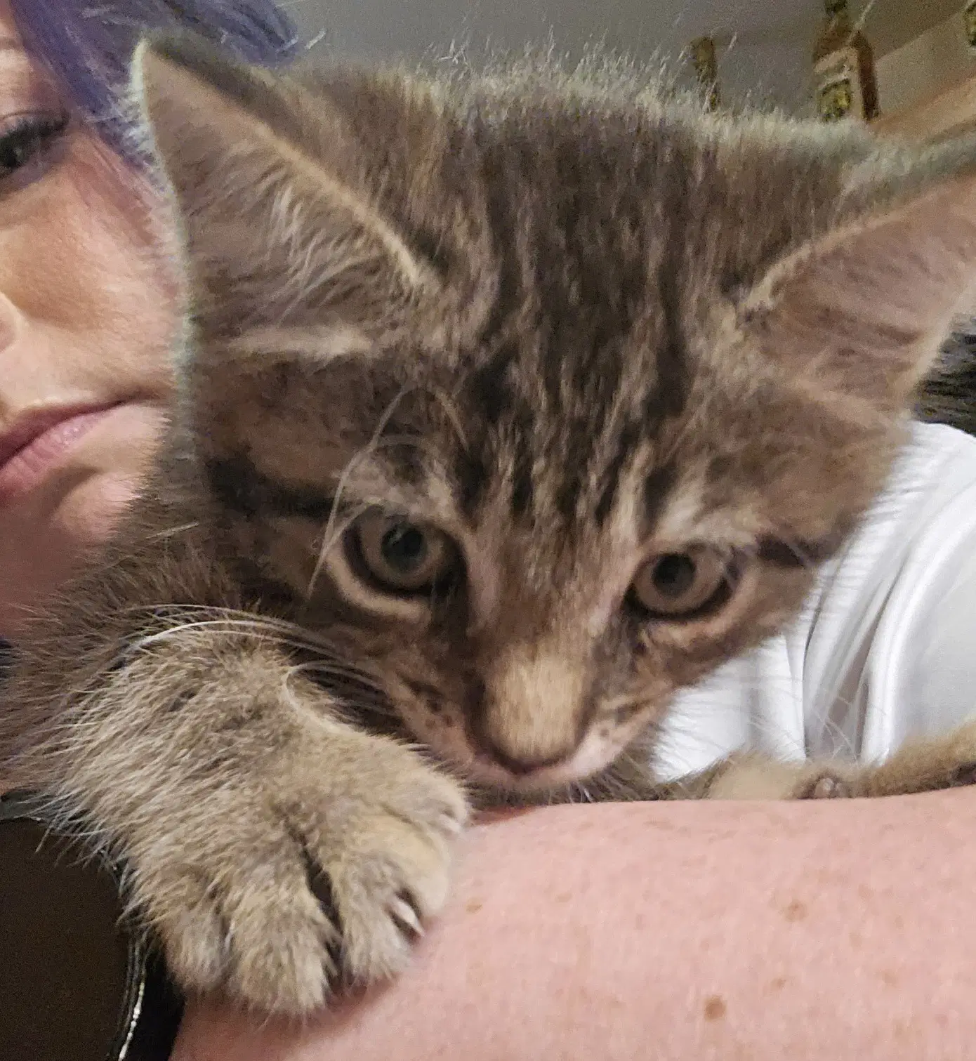 Gina image 2