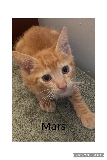 Mars