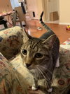 Vinny aka Bill Murray - Photo 2