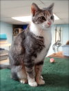Sookie II - Photo 2