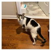 Bruce (Meeks) - Photo 2