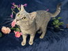 Margaret - Photo 3