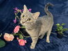 Margaret - Photo 1