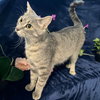 Margaret - Photo 4