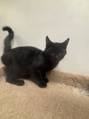 Tullah - Photo 4