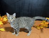 Louise - Photo 4