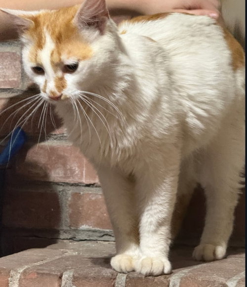 Cloud