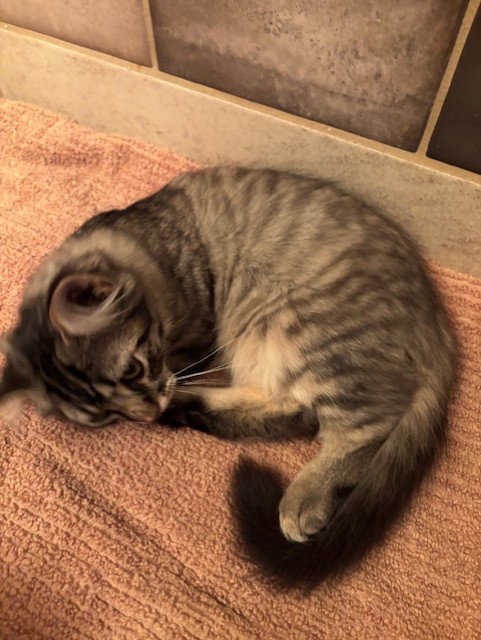 Bob photo 3