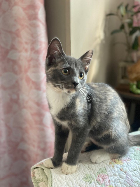 Penny photo 2