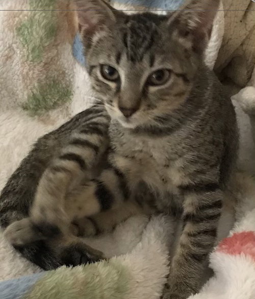 Mimi photo 2
