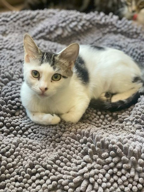 Photo 2 of Minnie