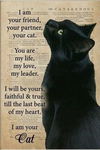 adoptable Cat in fayetteville, GA named ADOPTION-Read First