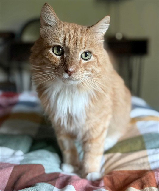 TJ Image