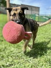 ROMEO - Photo 1