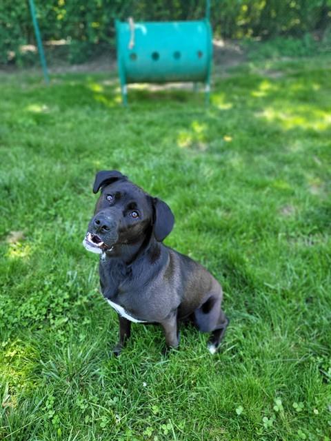 LUNA