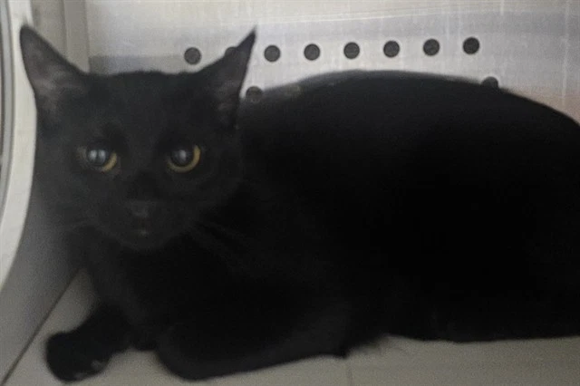 Sabrina
