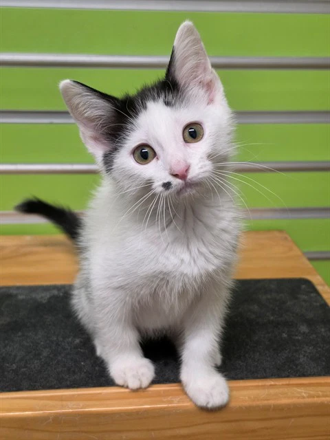 Winnie