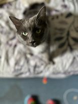 Benny