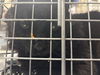adoptable Cat in  named VERSACE