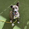 BOLT - Photo 1