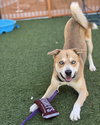 *GUS GUS - Photo 1